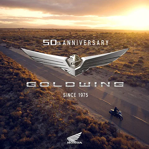 Gold wing 480 x 480