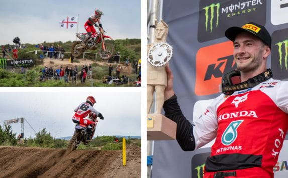 Herlings
