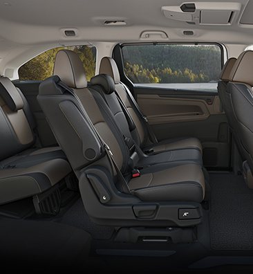 Odyssey Seats Brown
