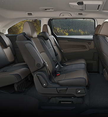 Odyssey Seats Brown